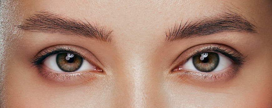 Ver todos los servicios disponibles